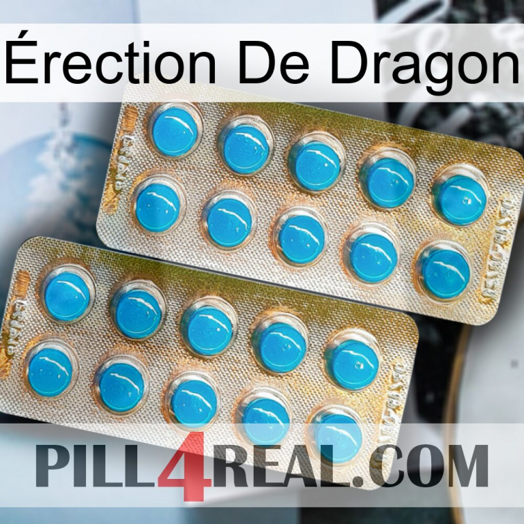 Érection De Dragon new08